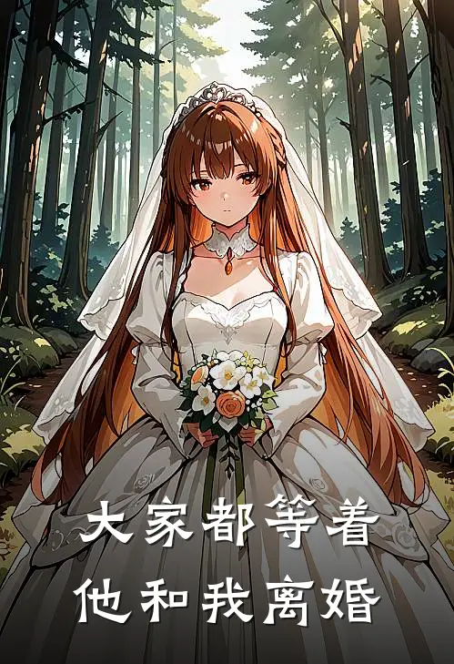 大家都等着他和我离婚